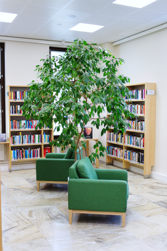 Kuvassa on Lieksan kirjaston aikuistenosastoa, jossa on suuri huonekasvi ja sen vierellä kaksi nojatuolia. Ympärillä on kirjahyllyjä.